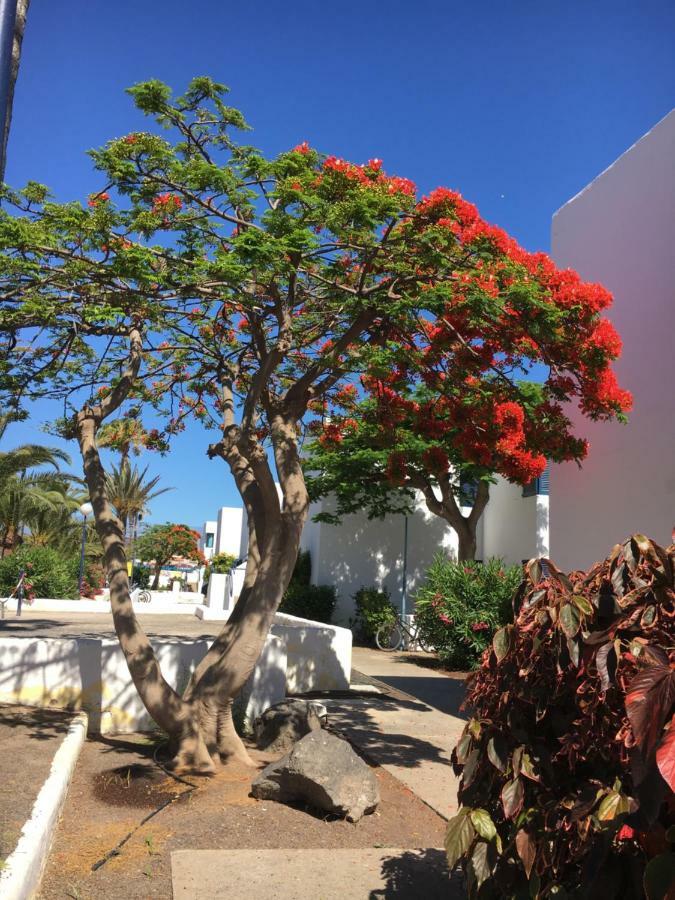 Los Barqueros Corralejo "Beach Front - Town Centre"アパートメント エクステリア 写真